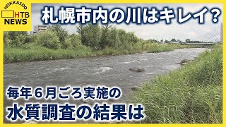 札幌の川は大丈夫？パリ五輪セーヌ川水質問題で気になる身近な川の水　毎年６月ごろに水質調査　その結果は