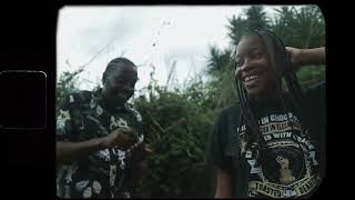 Skyesis - New year (official music video)