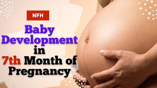 Seventh Month of Pregnancy - Baby Development | Baby development in 7th month of pregnancy