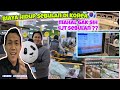 biaya hidup tki korea | sebulan tembus 4jt mahal gak sihhh???