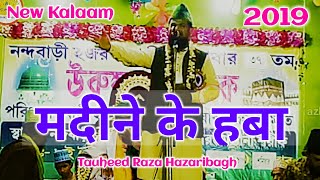 Tauheed Raza Hazaribagh - Urse Haji Peer Baba, मदीने के हबा New Video Naat 23 03 2019