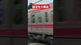 【踏切を爆走】京王線南平駅付近を高速通過#高速通過 #shorts