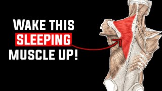 Weakness of This One Muscle Causes Neck, Shoulder & Upper Back Pain - FIX IT!