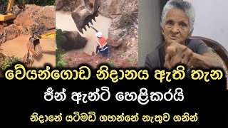 වේයන්ගොඩ නිදානය ජීන් ඇන්ටි ගනී