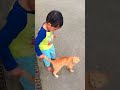 Adorable cute Babies Playing With Cats - Funny Baby & Pets Compilation. #viral#funnypetsvideos #song