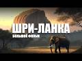 Шри-Ланка. Остров, который создан для путешествий. Большой выпуск.