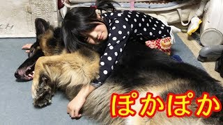 美味しいね！シェパード犬マック君と孫達おやつタイム♪ポテチ大好き