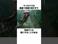 【モンハン】ライゼクスの生態とトリビアを解説 monsterhunter モンハン解説