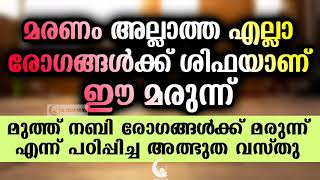 മരണം അല്ലാത്ത എല്ലാ രോഗങ്ങൾക്ക് മരുന്നാണ് ഇത് | നബി തങ്ങൾ പറഞ്ഞ കാര്യം│Islamic Speech