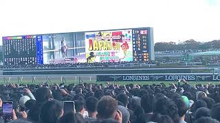 【各馬への声援！】ジャパンカップ2024 本馬場入場 #ドウデュース