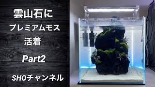 雲山石にプレミアムモス活着レイアウト