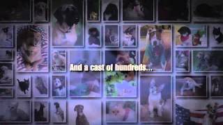 SICSA 2012 Pet Calendar Movie Trailer