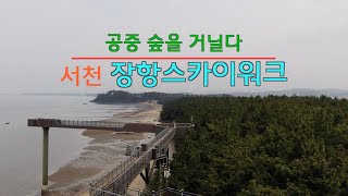 국내여행- 서천 장항 스카이워크 / 서천 가볼만한 곳/하늘 숲을 걷다/바닷가 힐링 장소/서천 여행