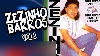 ZEZINHO BARROS VOL 1 - FILHO DO DONO