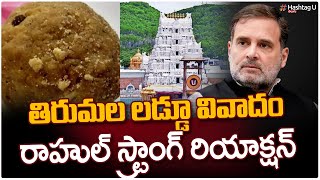 తిరుమల లడ్డూ వివాదం || Rahul Gandhi Strong Reaction on Tirumala Laddu Issue || HashtagU