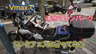 Vmaxで愛犬とドッグフェスに行って来た