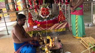 Goddess Maha Baddra Kali Homam puja #god #amman #kali