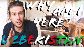 Unexpected adventures in Uzbekistan (this really happened?!)