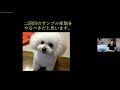 「はやぶさ」帰還10年記念＆「はやぶさ2」カプセル帰還祈念 特別講演【つながろう！さがみはらフェスタ2020 オンライン】（アーカイブ）