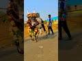 😎mass look hero entry⚔️ 👿kangayam beast kaalai💥 eruthattam jallikattu videos viral trending