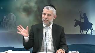 הרב זמיר כהן - פרשת בלק - אחד החזקים ביותר - מומלץ מאוד מאוד - תהנו