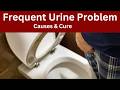 Frequent urine problem in male.  Causes and How to stop frequent urination