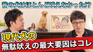 無駄吠えを無くすには〈吠える理由〉を知ることが大事！【愛犬が吠える最大の原因】をペットショップ店長が解説！