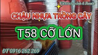 CHẬU NHỰA TRỒNG CÂY CỠ LỚN T58 BÁO GIÁ CHI TIẾT