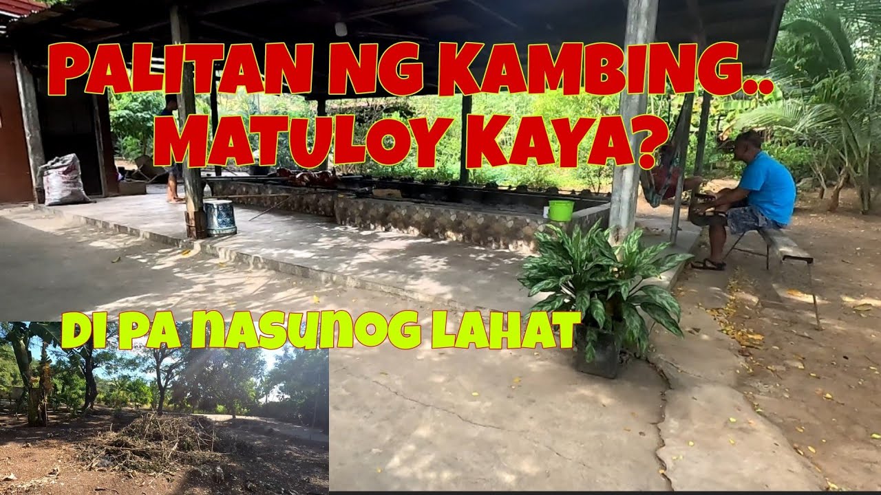 5 Agad Ang Nabawas Sa Mga Pabo | Kailangan Pa Ata Ng Tambak Sa Lalagyan ...