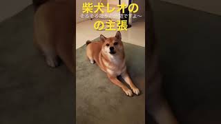 柴犬レオの犬語「散歩に行きたいっす」がこちらです。