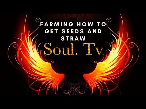 Farming How to get seeds and straw Medieval Dynasty