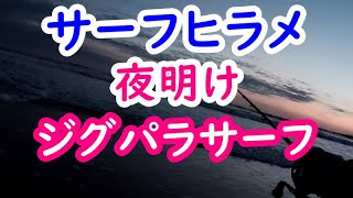 夜明けのサーフヒラメ。ルアーは「ジグパラサーフ」