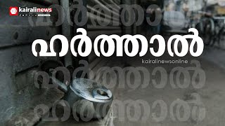 വന്യജീവി ആക്രമണത്തില്‍ പ്രതിഷേധിച്ച് വയനാട്ടില്‍ ഇന്ന് യുഡിഎഫ് ഹര്‍ത്താല്‍ | Wayanad