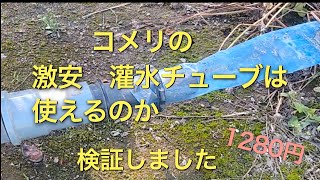 コメリの激安　かん水チューブは使えるのか？検証しました