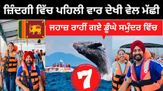 ਪਹਿਲੀ ਵਾਰ ਦੇਖੀਆਂ ਵੇਲ ਮੱਛੀਆਂ Whale Watching Mirrisa Srilanka | Punjabi Travel Couple | Ripan Khushi