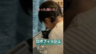 【ロボフィッシュ】泳がせてみた🐟