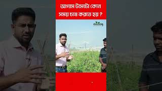 আগাম টমেটো কোন সময় চাষ করতে হয়? 🍅#agro1 #Agro1_Smart_Agriculture #ytshorts #shorts