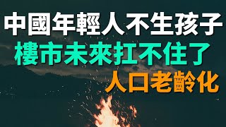 中國年輕人不願生孩子！樓市未來真的會扛不住嗎？年輕人越來越少，將來還有誰會買房？