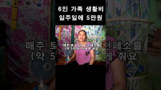 6인 가족 생활비가 일주일에 5만원