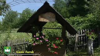 Najljepša bašta/balkon na području Visokog - Ganić Faruk