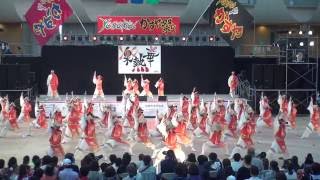 須賀IZANAI連 さん　2016　YOSAKOI かすや祭り②