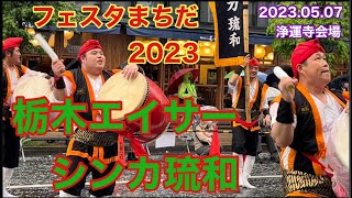 フェスタまちだ 2023！浄運寺会場 栃木エイサーシンカ琉和✨