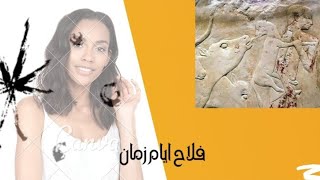 اشهر  فلاح ايام الفراعنه؟ وأشهر واغلي لوحه موجودة في العالم ؟🤔🤫