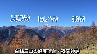 快晴の夜叉神峠から高谷山へ　 2015.11.04