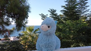 Bodrum, Pamukkale, Turkey | Travelling alpaca | Private Traveller