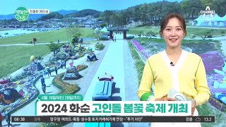 [친절한 예인씨] 2024 화순 고인돌 봄꽃 축제 개최! 아이들과 함께 즐기는 지역 축제 #화순고인돌축제 | 행복한 아침 1340 회