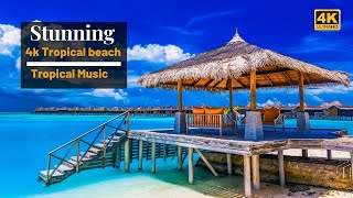 4k Tropical Beach | Beautiful Tropical Music | Chill & House Music | Maldives Island & Bora Bora