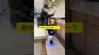 狗子偷玩玩具，二白竟学会了狗子打掩护，这是什么时候结下的革命友谊啊【我系二白】