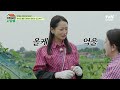 🔥영숙 부부 vs 금동 부부🔥 작물 재배를 둘러싼 티격태격 기싸움 회장님네사람들 ep.100 tvn story 240909 방송