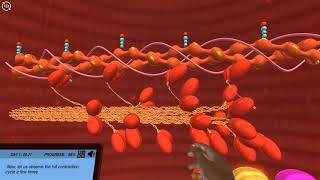 Labster Anatomy & Physiology Virtual Labs